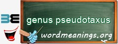 WordMeaning blackboard for genus pseudotaxus